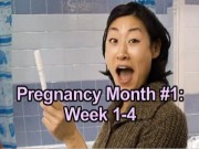 First Month of Pregnancy: Weeks 1 to 4